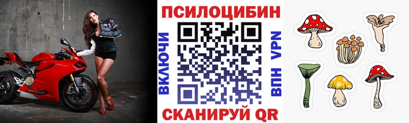 Купить  Чухлома  Галлюциногенные грибы Cubensis 